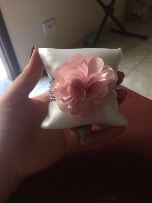 Meninas Madrinha usando Corsage?!?! 4