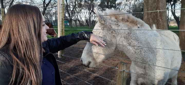 Zoo Lujan
