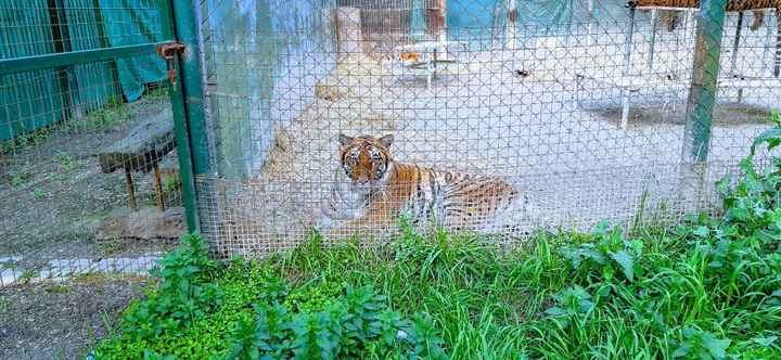 Zoo Lujan