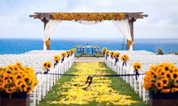Amarelo ♥