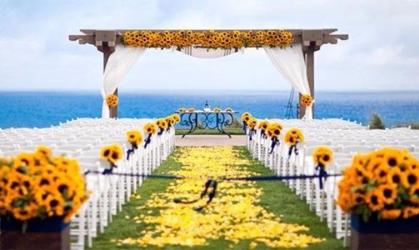 Amarelo ♥