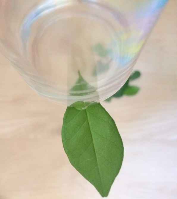 DIY Passo a Passo