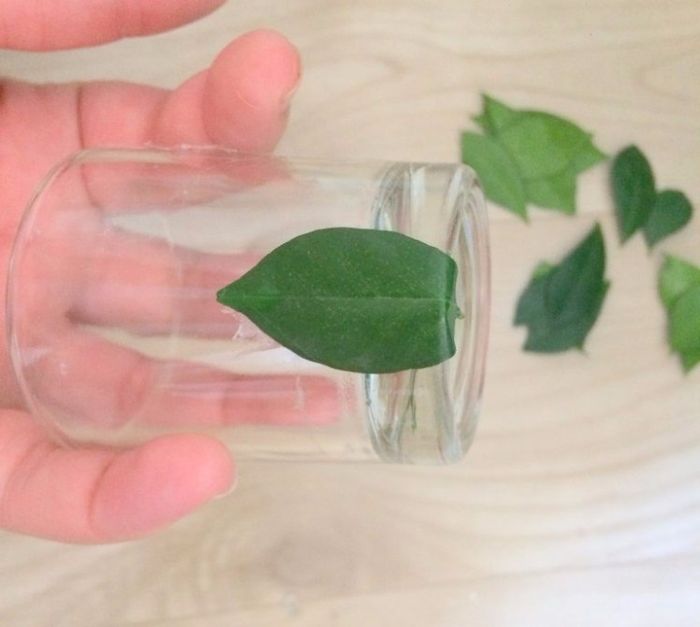 DIY Passo a Passo