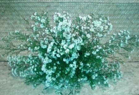 decoração para cerimônia