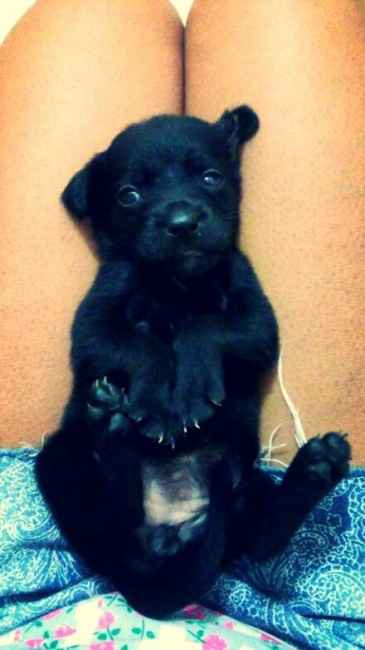 baby - Nina