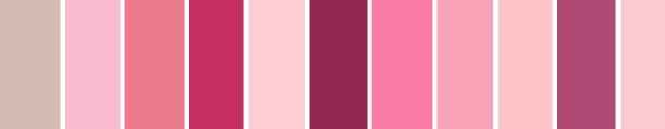 Paleta rosa madrinhas