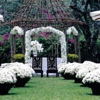 decoração maravilhosa