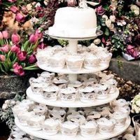 bolo de cupcack