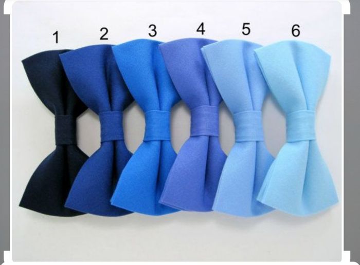 Qual cor de paleta escolher para as madrinhas? Duvida cruel 1