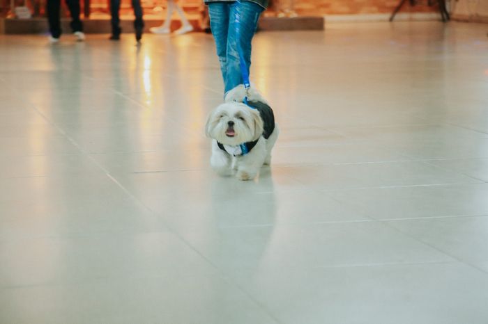 Chegaram as fotos do Dia C!!! Nos casamos no dia 05/11 - 1