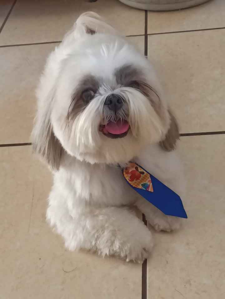 Gente do céu, nosso Topo de Bolo chegou!!! - 1