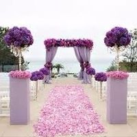 As cores do meu casamento será roxo, rosa e branco,.