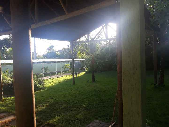 Não desista de seus sonhos!!! - 1