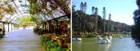 Lua de mel em Gramado! Hotel Reservado!!