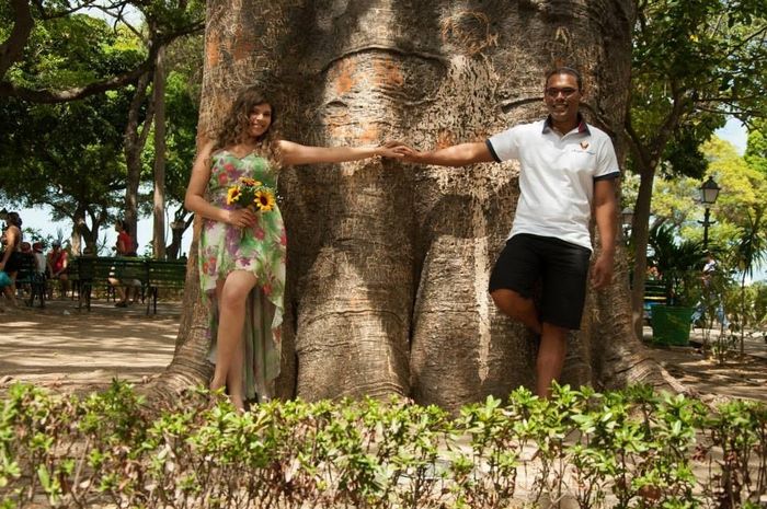 Pic nic no parque