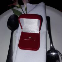 e o pedido oficial de casamento chegou... - 2