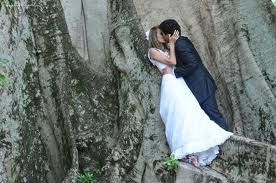 Trash the Dress