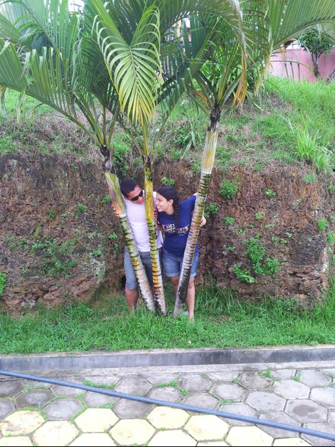 A procura do amor