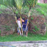 A procura do amor