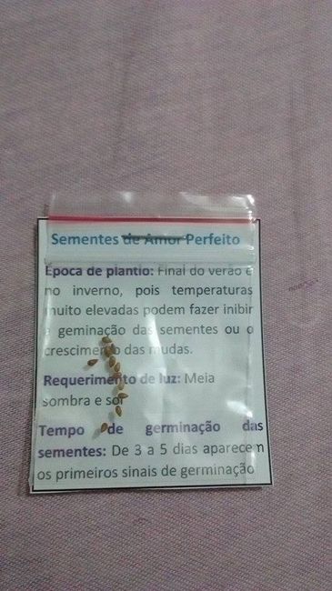 orientações de plantio