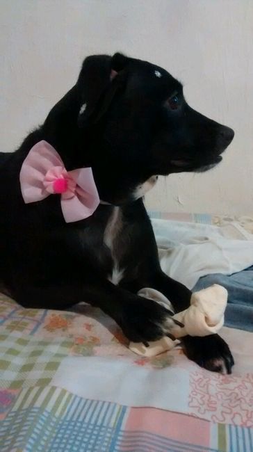 Eu também vou mamãe - 1