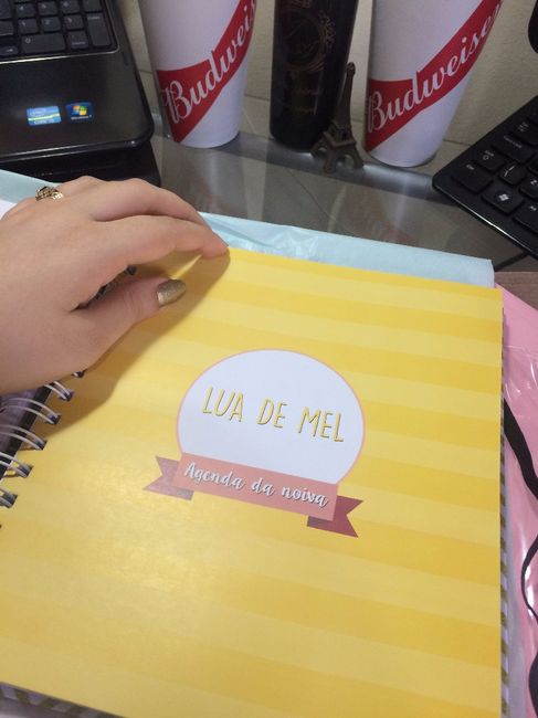 Detalhes do meu Planner da Noiva 14