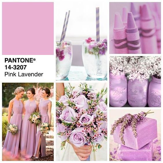#cores2018 - Pink Lavender (rosa lavanda, com fundo lilás) 5