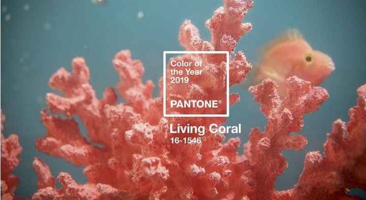 A cor do ano 2019 da Pantone é o Living Coral