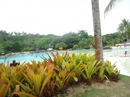 Eco Park