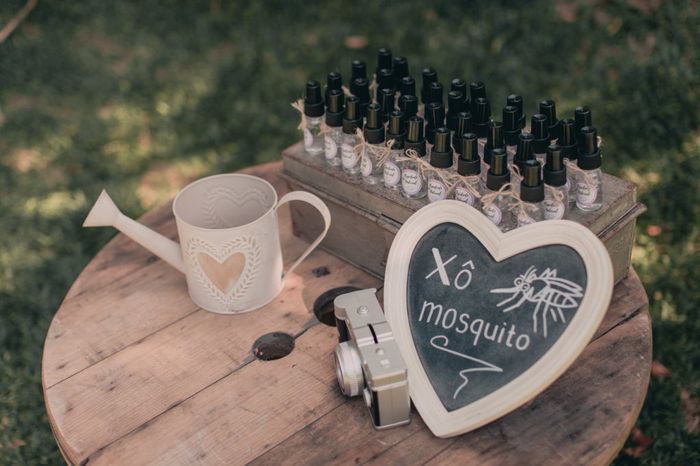 Lidar com mosquitos no casamento - 1