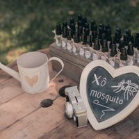 Lidar com mosquitos no casamento - 1