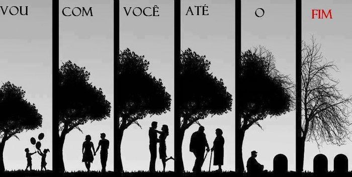 Lindo Demais