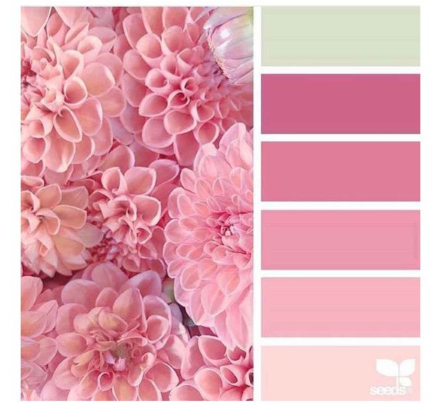Qual cor escolheram para o vestido das madrinhas? 1
