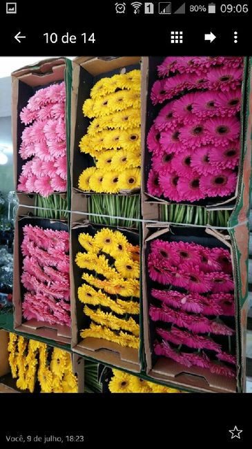 Flores para decorar no inverno - 3