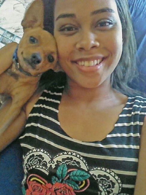Dog levando as alianças - 2