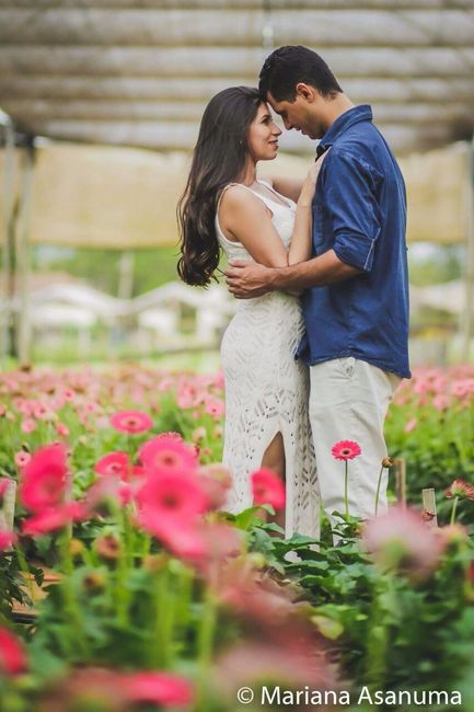 Flores em estufa