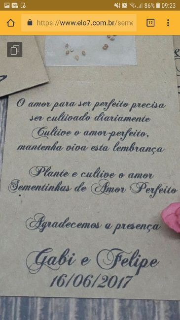 Suculentas para lembrancinhas - 2