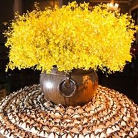 Decoração Linda!!