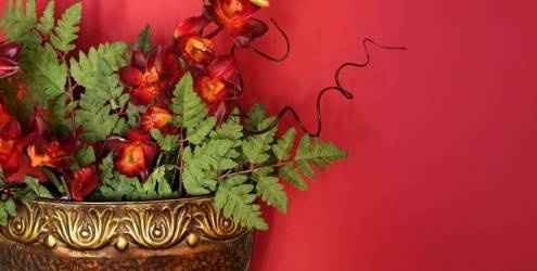 DECORAÇÃO DECORAÇÃO
