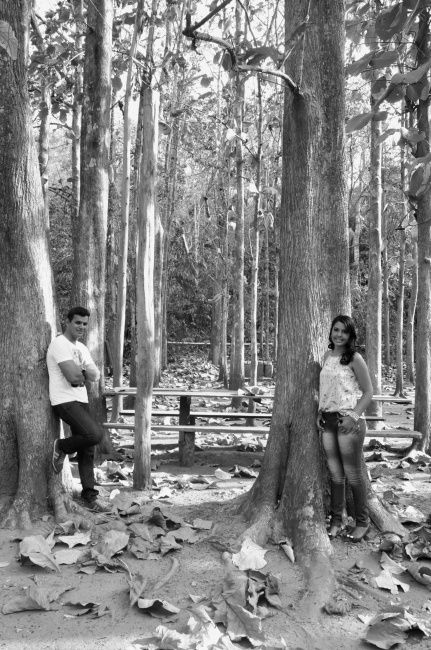 Pre-Wedding