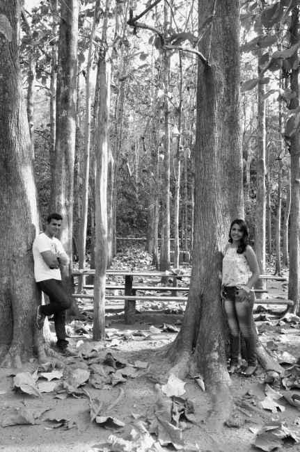 Pre-Wedding