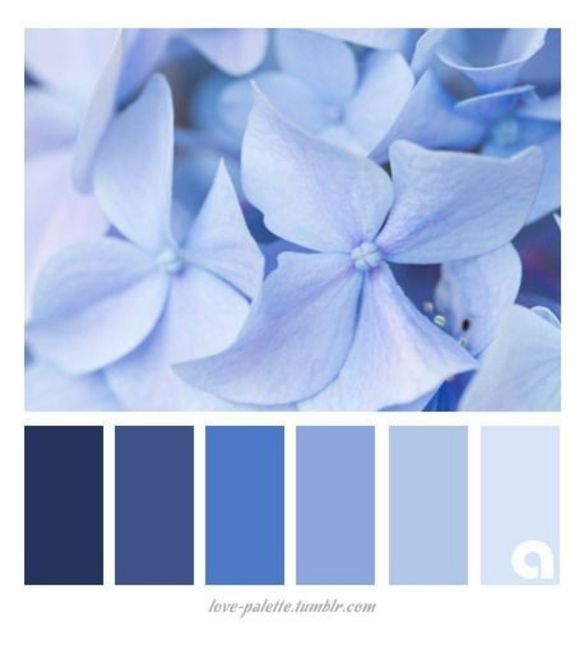 Falando sobre cores: Azul 14