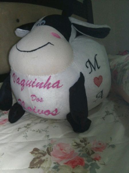 Nossa vaquinha ficou pronta - 1