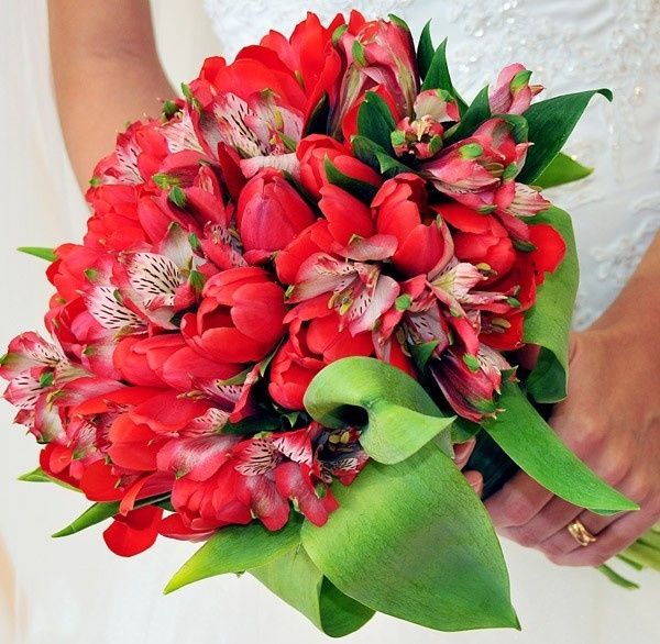 Tulipas e alstroemérias