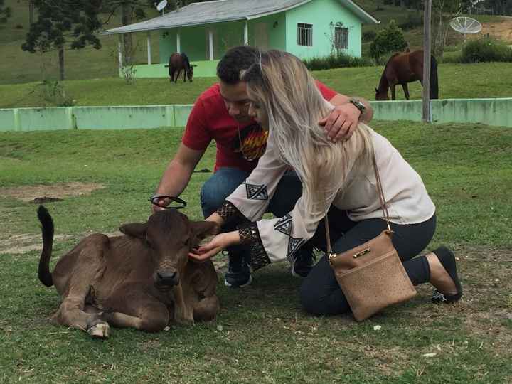 Amor a primeira vista? - 3