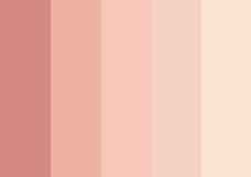 Paleta de tons nude 