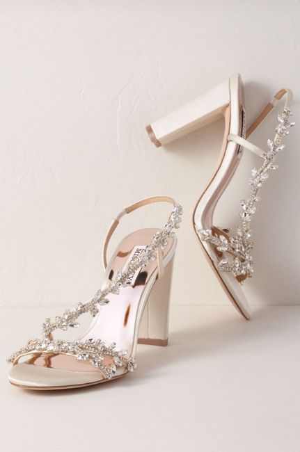 Sapato Badgley Mischka 1