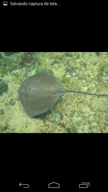 Fernando de Noronha. E se o noivo não sabe nadar? - 3