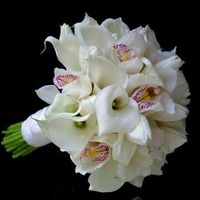 Buquê com a flor copo de leite. - 1