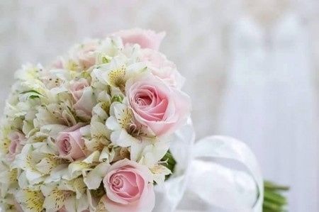 flores naturais